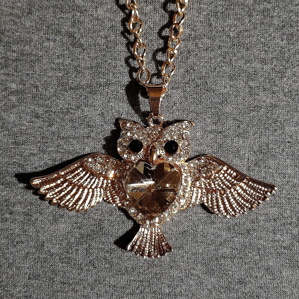 Necklace - Owl  26" Chain